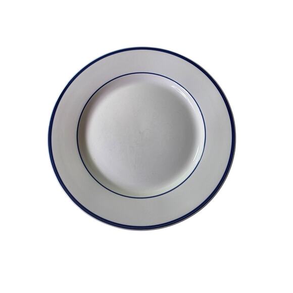 Set of 2 THOMPSON POTTERY White Bronco Blue Discontinued 10.5" Dinner Plates - Picture 1 of 6